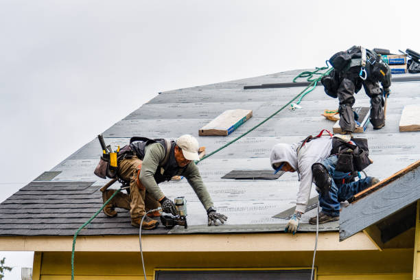 Professional Roof Repair technician working in Charles City, IA